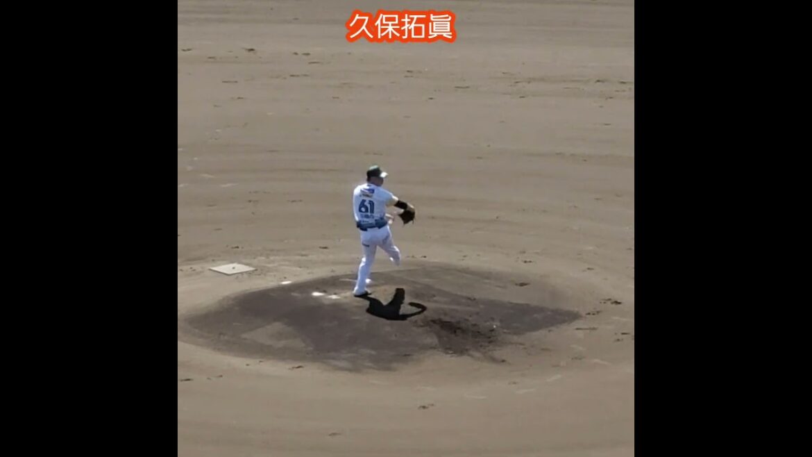 20260412　先発の #久保拓眞　#投球練習　#shorts　堺シュライクス　元･東京ﾔｸﾙﾄｽﾜﾛｰｽﾞ　投球ﾌｫｰﾑ@姫路･ｳｲﾝｸ球場［さわかみ関西独立ﾘｰｸﾞ］姫路市立姫路球場