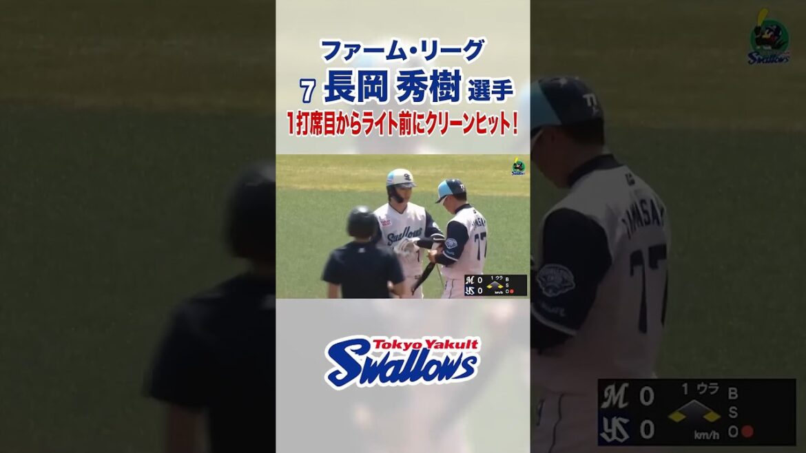 【ファーム・リーグ】長岡秀樹選手 1打席目からライト前にクリーンヒット！ #swallows #shorts #長岡秀樹