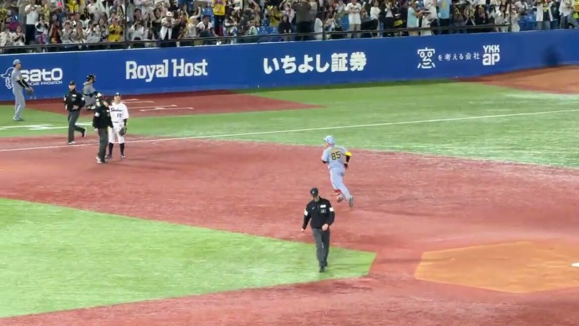 【代打でプロ初本塁打】嶋村麟士朗選手 阪神タイガース