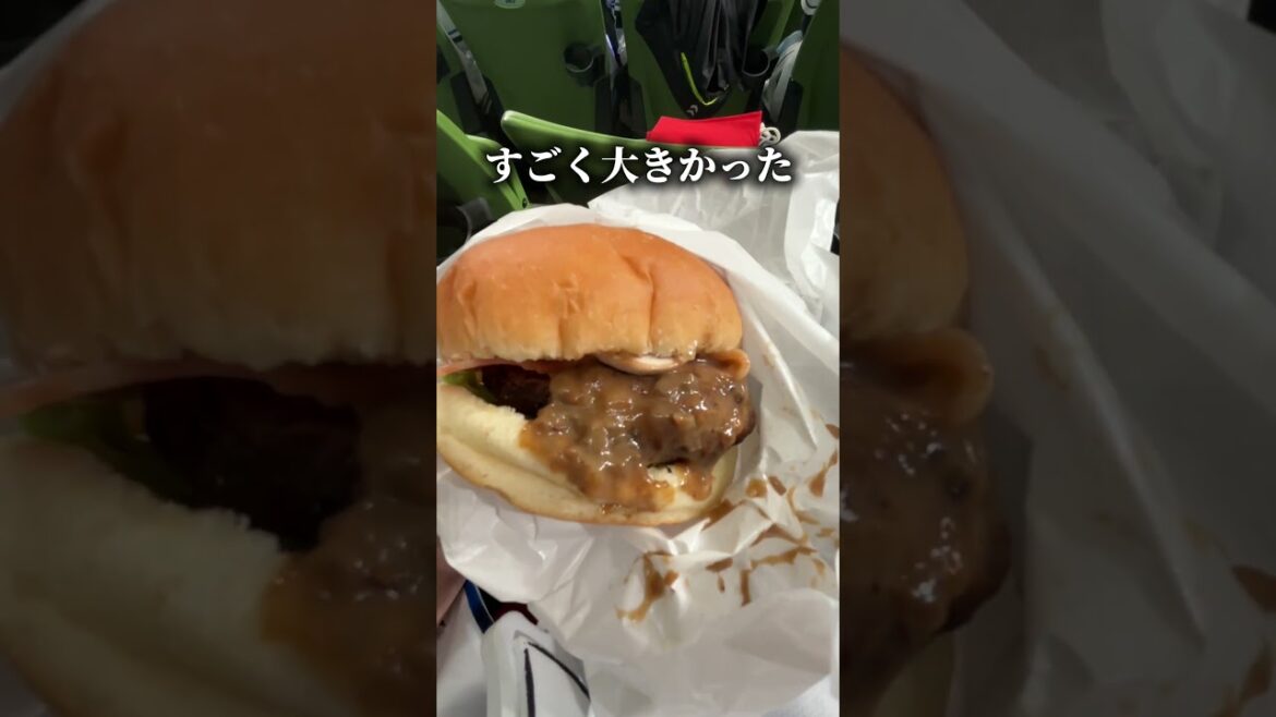 【Vlog】ベルーナドームに観戦に行ったら楽しすぎた#埼玉西武ライオンズseibulions#vlog