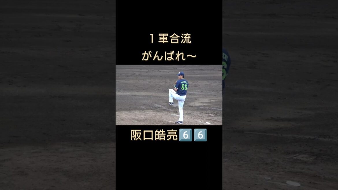 #阪口皓亮　#東京ヤクルトスワローズ 　#燕心全開 　#燕征 　#応燕 　#ナゴヤ球場 　#ファーム 　#swallows   #shorts