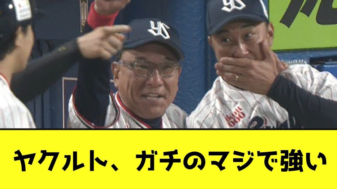 今年のヤクルト、ガチのマジで強いwwwwwwwwww【なんJ反応】