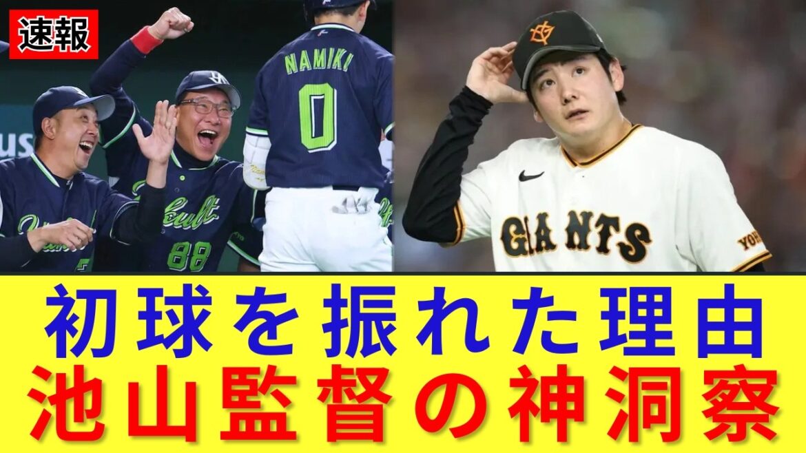 なぜ初球を叩けたのか？並木秀尊のホームランを生んだ池山監督の采配の極意！巨人戦で証明された若手覚醒の全貌