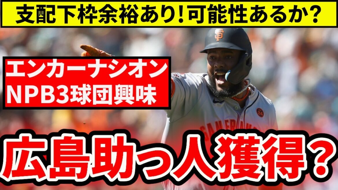 【広島】カープのエンカーナシオン獲得はあるか？興味示すNPB3球団にカープは含まれる？【広島東洋カープ】