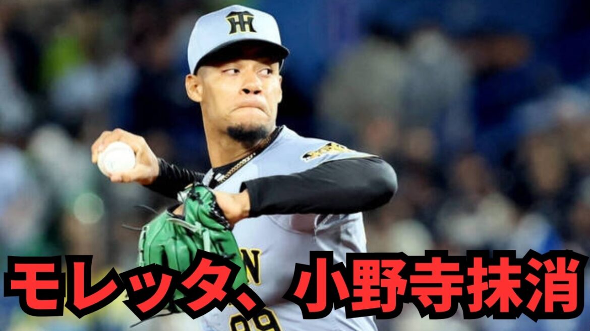 【阪神・速報】モレッタ&小野寺が抹消!神宮の「押し出し死球」と「3三振」が引き金。ファンの怒りは収まらず……「なぜ桐敷は残る?」リリーフ再編問題を徹底解説! 【阪神・速報】モレッタ&小野寺が抹消!神宮の「押し出し死球」と「3三振」が引き金。ファンの怒りは収まらず……「なぜ桐敷は残る?」リリーフ再編問題を徹底解説!