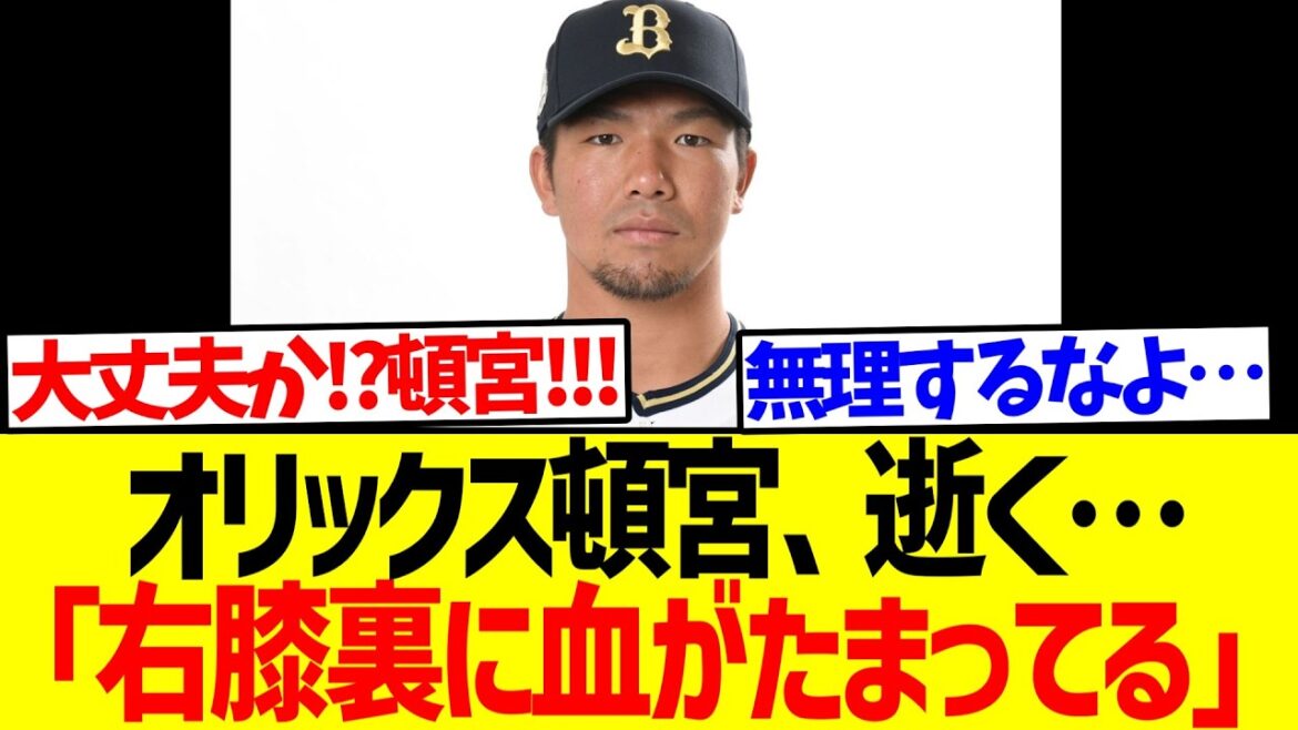 【悲報】オリックス頓宮、逝く…「右膝裏に血がたまってる」