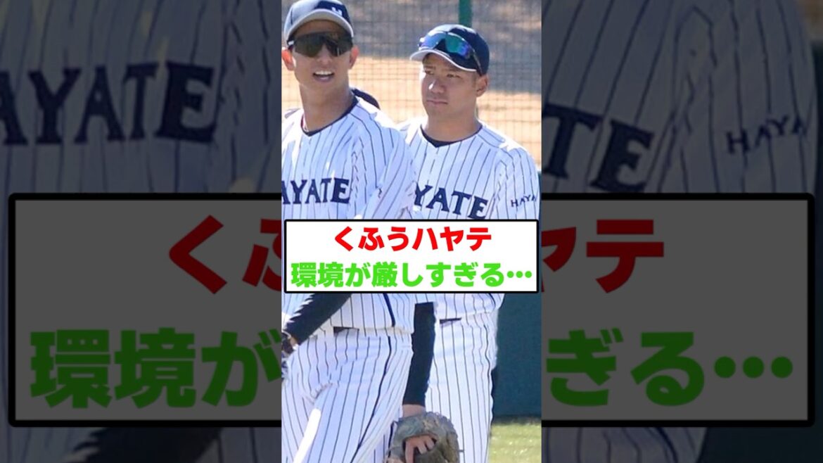 くふうハヤテ、環境が厳しすぎる…