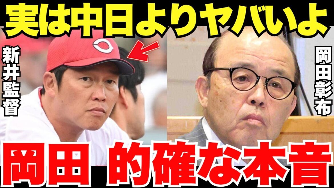 「広島が最下位?そりゃ、そうよ」岡田彰布が指摘したヤバい中日の陰に隠れていた広島こそヤバすぎる理由が的確だった! 「広島が最下位?そりゃ、そうよ」岡田彰布が指摘したヤバい中日の陰に隠れていた広島こそヤバすぎる理由が的確だった!