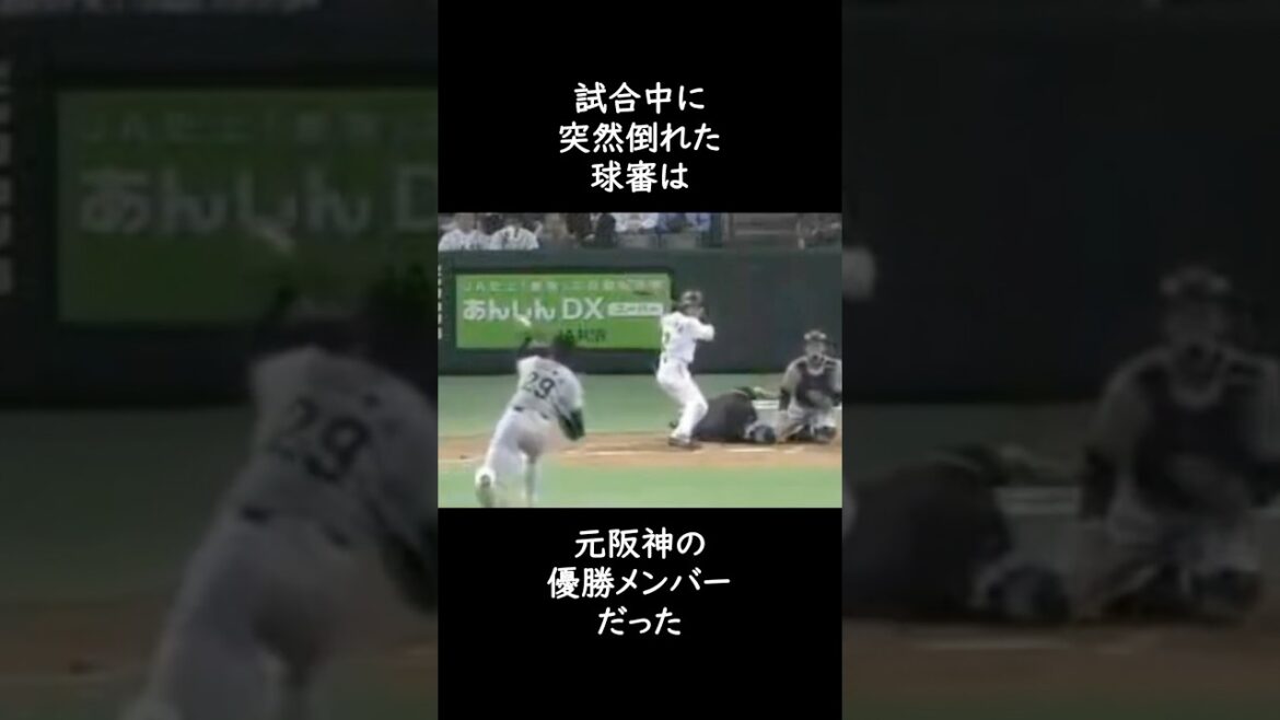 1985年　阪神優勝のウイニングボールを掴んだあの審判 #プロ野球 #阪神タイガース #渡真利克則 #矢野燿大
