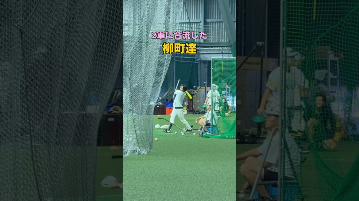 【再び積み上げる】 #福岡ソフトバンクホークス #柳町達 #プロ野球 #野球 #bambies #タマスタ筑後 #ファーム 【再び積み上げる】 #福岡ソフトバンクホークス #柳町達 #プロ野球 #野球 #bambies #タマスタ筑後 #ファーム