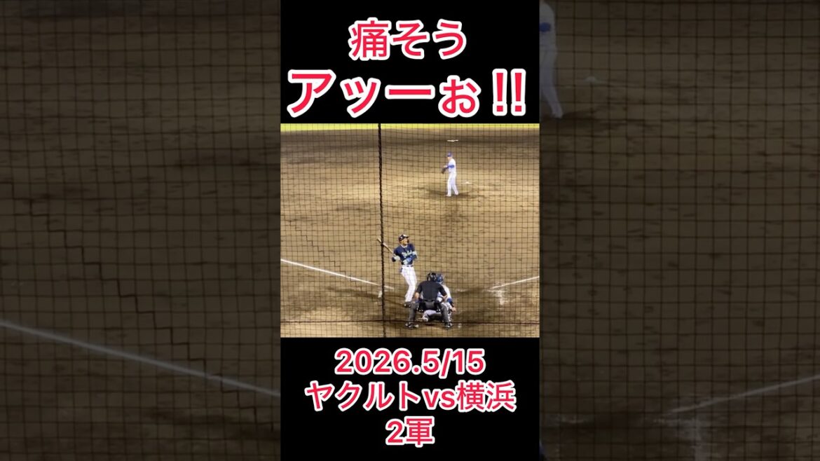 思わず声が出てしまう #shorts #東京ヤクルトスワローズ #プロ野球