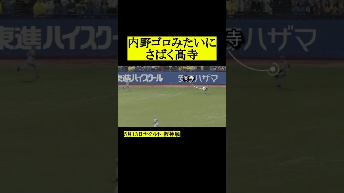 天才髙寺がまた出てしまった #阪神タイガース #プロ野球 #野球