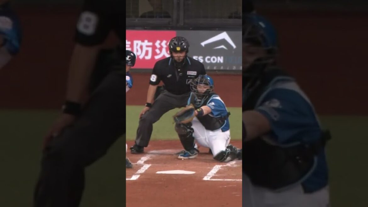Hokkaido-Nippon-Ham-Fighters: 【空中戦の接戦を制し3位浮上!】5/16 vs.埼玉西武ライオンズ 【空中戦の接戦を制し3位浮上!】5/16 vs.埼玉西武ライオンズ