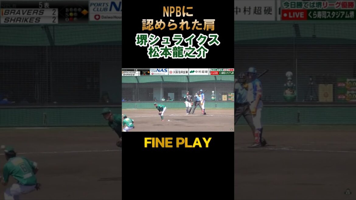 【好プレー2024】堺シュライクス・松本龍之介【ストライクスロー】#shorts #baseball 【好プレー2024】堺シュライクス・松本龍之介【ストライクスロー】#shorts #baseball
