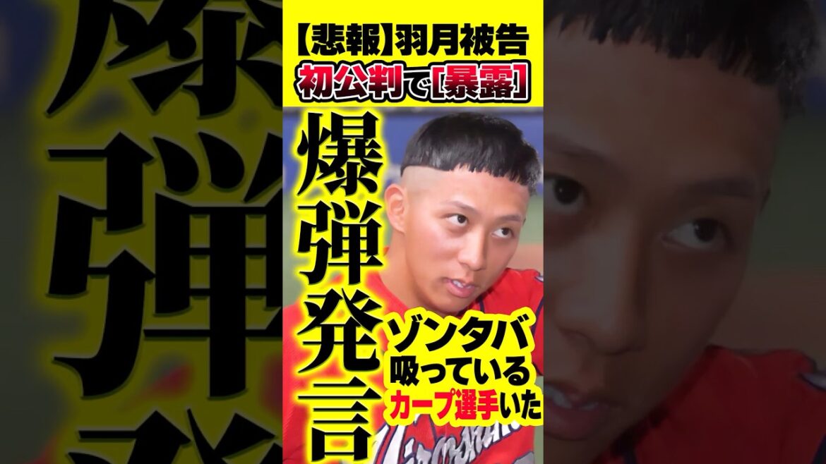 元広島カープ羽月隆太郎ゾンビたばこは「周囲に吸っているカープ選手がいた」鈴木本部長「再調査します」#羽月隆太郎 #カープ #ゾンビたばこ 元広島カープ羽月隆太郎ゾンビたばこは「周囲に吸っているカープ選手がいた」鈴木本部長「再調査します」#羽月隆太郎 #カープ #ゾンビたばこ
