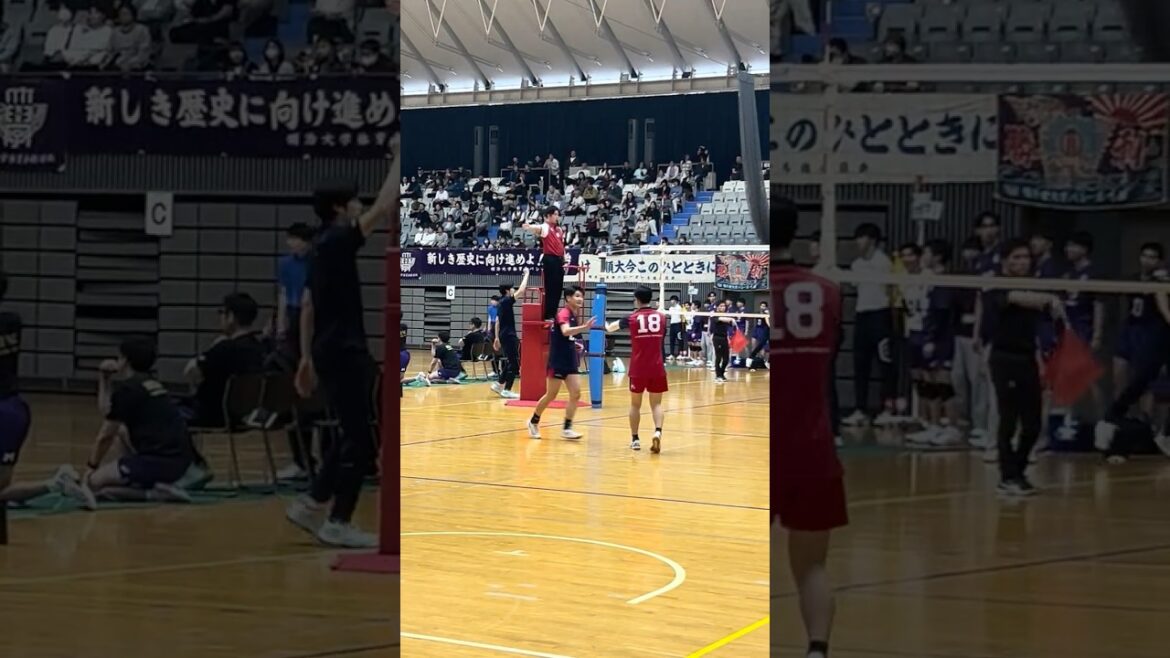 【駒澤21 菅原秀斗】ブロックの上を打ち抜くスパイク! #univas #volleyball #バレーボール #大学バレー 【駒澤21 菅原秀斗】ブロックの上を打ち抜くスパイク! #univas #volleyball #バレーボール #大学バレー