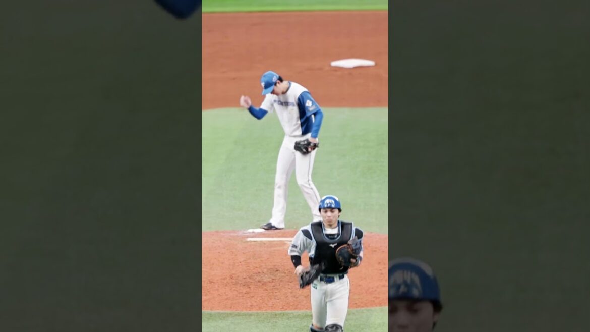 Hokkaido-Nippon-Ham-Fighters: 相手に流れを渡さないパーフェクトリリーフ🔥#ドミれ #lovefighters 相手に流れを渡さないパーフェクトリリーフ🔥#ドミれ #lovefighters
