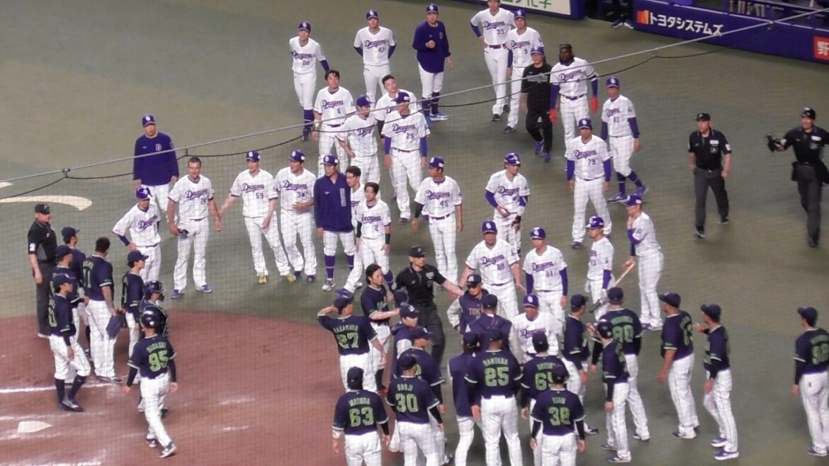 乱闘 大荒れ 警告試合 ヤクルトベンチに挑発する人がいた? 3死球にドラゴンズ激怒 細川成也は2打席連続死球 細川に寄り添う阿部 中日ドラゴンズVS東京ヤクルトスワローズ 2026/05/15 乱闘 大荒れ 警告試合 ヤクルトベンチに挑発する人がいた? 3死球にドラゴンズ激怒 細川成也は2打席連続死球 細川に寄り添う阿部 中日ドラゴンズVS東京ヤクルトスワローズ 2026/05/15