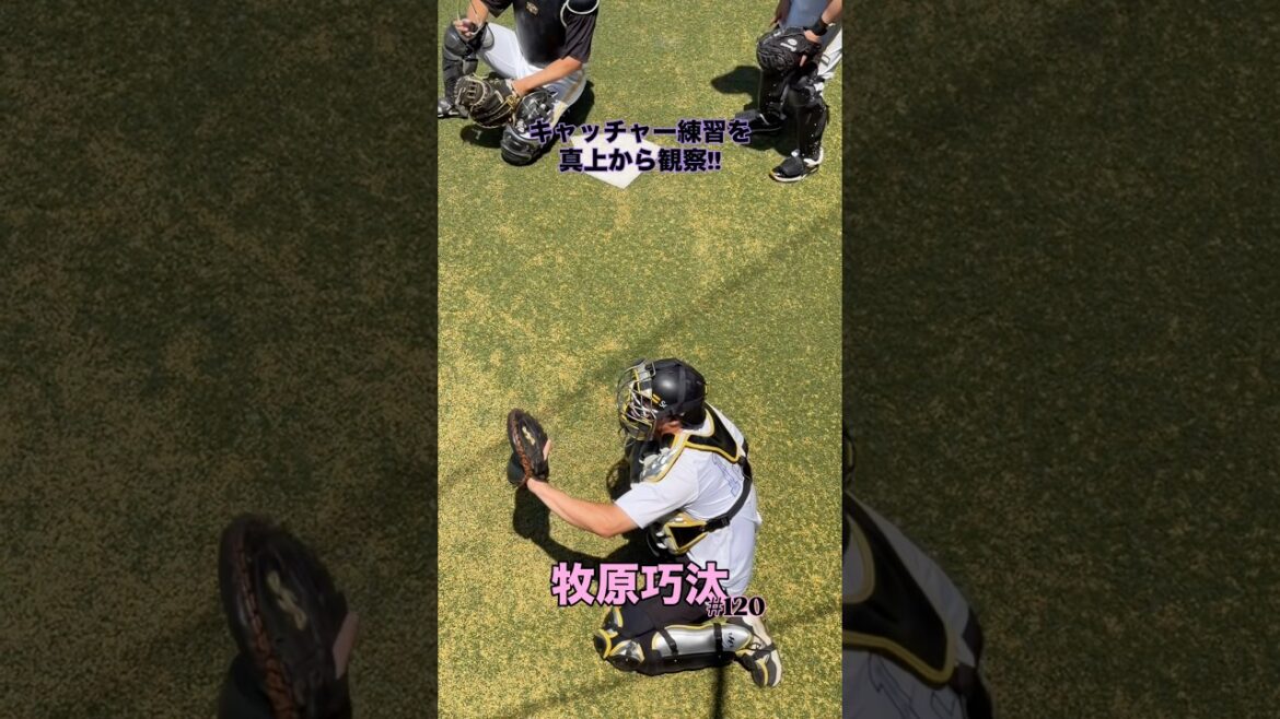 【真上からキャッチャー観察】 #福岡ソフトバンクホークス #牧原巧汰 #プロ野球 #sbhawks #捕手 #キャッチャー #bambies #タマスタ筑後