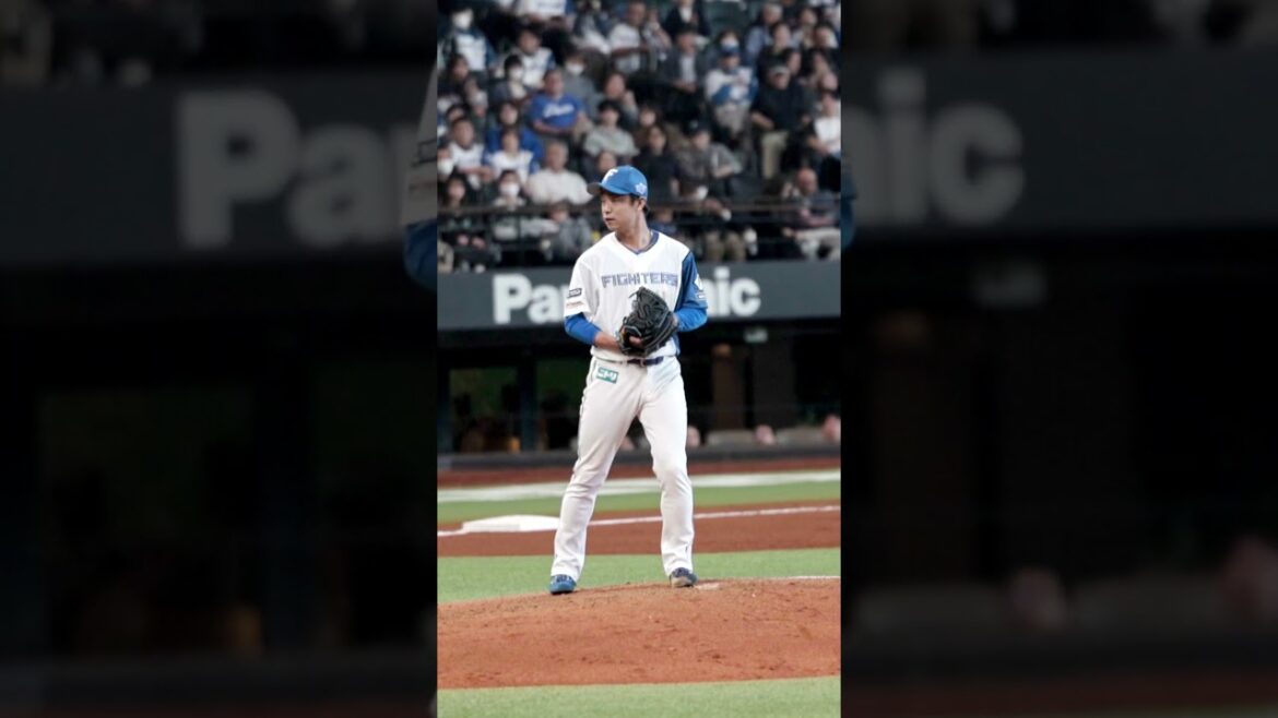 抜群の安定感！新加入ながら中継ぎとしてチームを支える島本浩也投手⚾#ドミれ #lovefighters