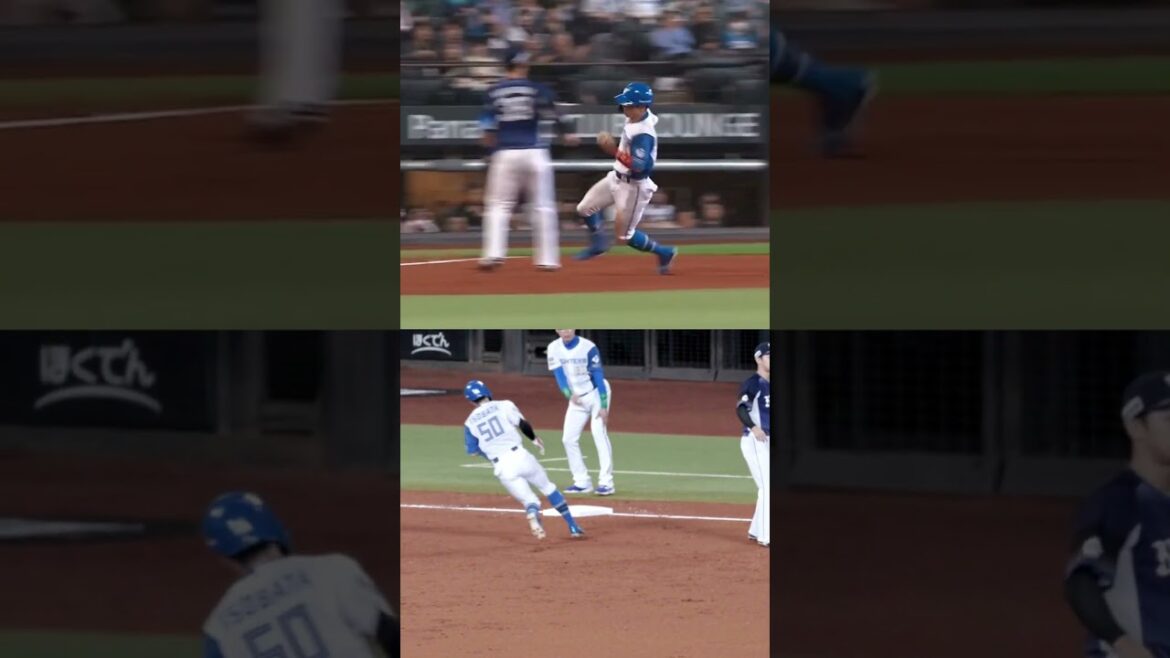 ファイターズが誇るスピードスター⭐五十幡亮汰選手の走塁💨💨#ドミれ#lovefighters