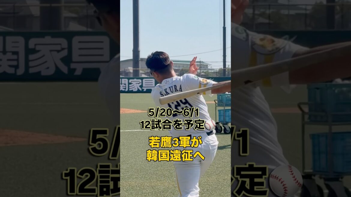 【若鷹3軍が韓国遠征へ】 #福岡ソフトバンクホークス #3軍 #sbhawks #bambies 【若鷹3軍が韓国遠征へ】 #福岡ソフトバンクホークス #3軍 #sbhawks #bambies