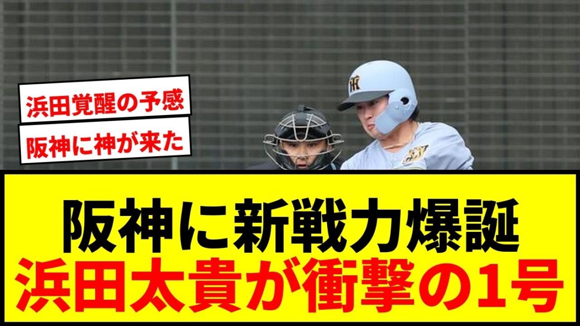 【速報】阪神「ええの取ったわ!」ネットで珍現象!現ドラ浜田太貴が初の対外試合で1号にファン歓喜! 【速報】阪神「ええの取ったわ!」ネットで珍現象!現ドラ浜田太貴が初の対外試合で1号にファン歓喜!