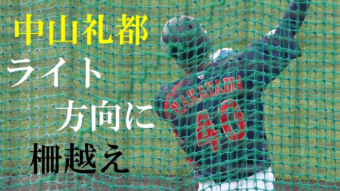 侍ジャパン宮崎キャンプ 中山礼都フリー打撃 #サポートメンバー #巨人 #読売ジャイアンツ #GIANTS