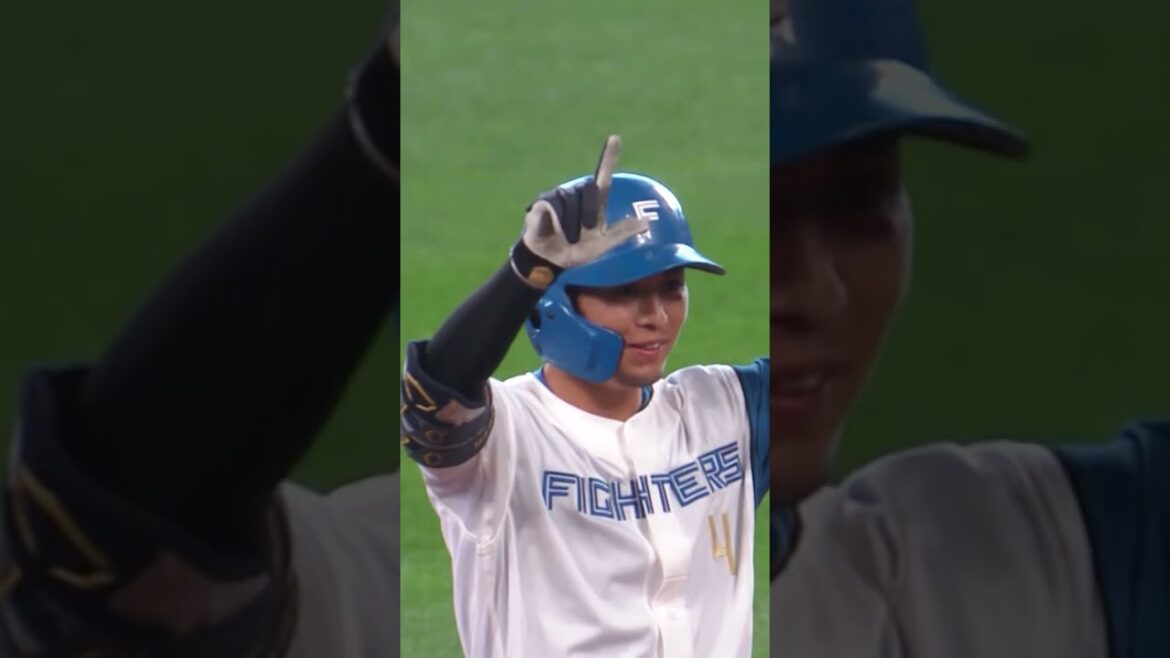 【五十幡がマルチ安打！守備でも魅せる】5/17 vs.埼玉西武ライオンズ