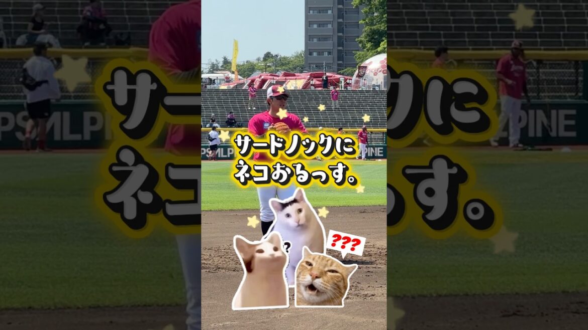 【異常事態】サードにネコおるっす。
