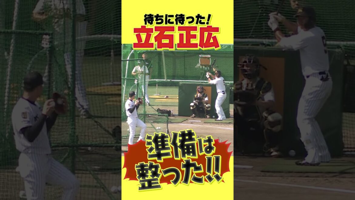 【6番左翼スタメン】立石正広ついに初陣！#阪神タイガース #hanshintigers #虎バンチャンネル #プロ野球 #shorts #shortvideo