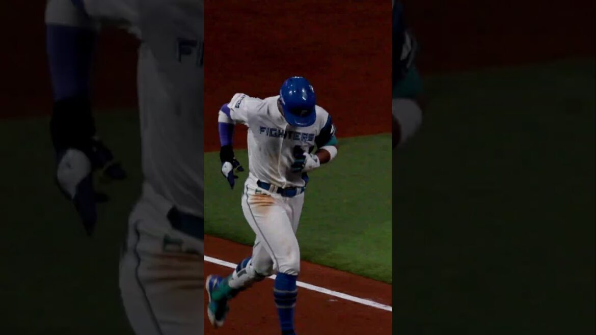 今季11号の万波中正選手のホームランも別視点で！！#ドミれ #lovefighters