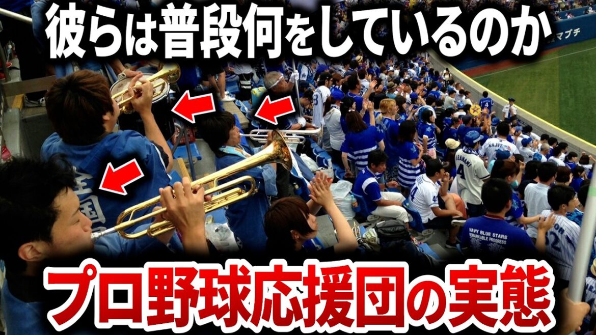 【プロ野球の応援団は普段なにをしている?】仕事やお金事情など知られざる実態 【プロ野球の応援団は普段なにをしている?】仕事やお金事情など知られざる実態