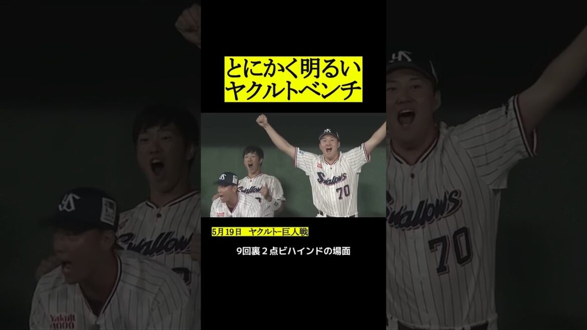 高校野球みたいなノリのヤクルトベンチ #プロ野球 #野球 #東京ヤクルトスワローズ