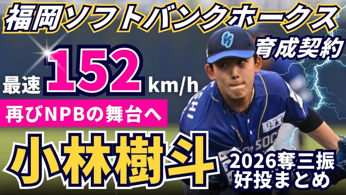 【福岡ソフトバンクホークス育成契約】最速152km/h #小林樹斗 投手が再びNPBへ!【2026奪三振・好投まとめ】 【福岡ソフトバンクホークス育成契約】最速152km/h #小林樹斗 投手が再びNPBへ!【2026奪三振・好投まとめ】