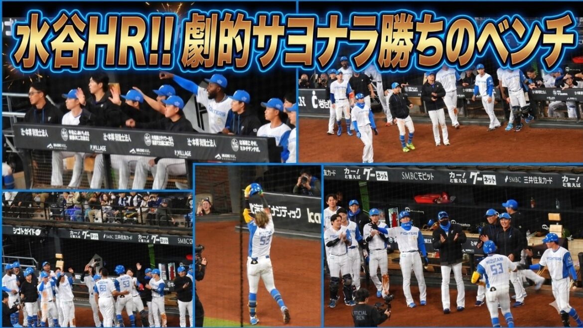 【20260308】水谷瞬(ジェッシー)HR~試合終了までのベンチ 【20260308】水谷瞬(ジェッシー)HR~試合終了までのベンチ