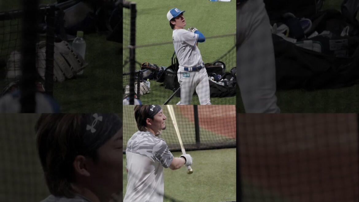 Hokkaido-Nippon-Ham-Fighters: 北山亘基投手にバッティングを教える水野達稀選手🔥#ドミれ #lovefighters 北山亘基投手にバッティングを教える水野達稀選手🔥#ドミれ #lovefighters