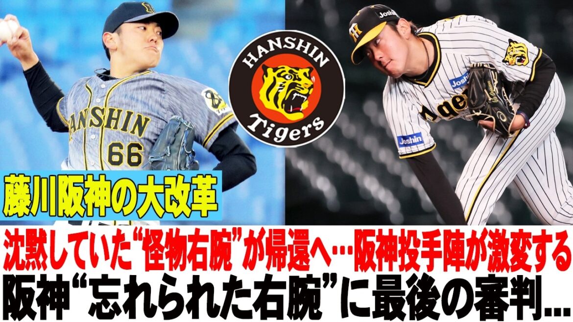 💥藤川阪神の大改革！沈黙していた“怪物右腕”が帰還へ…阪神投手陣が激変する！阪神“忘れられた右腕”に最後の審判… #阪神タイガース #小川一平