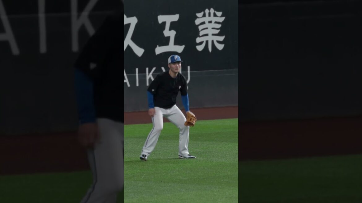 Hokkaido-Nippon-Ham-Fighters: 清宮幸太郎選手の外野守備練習🔥#ドミれ#lovefighters 清宮幸太郎選手の外野守備練習🔥#ドミれ#lovefighters