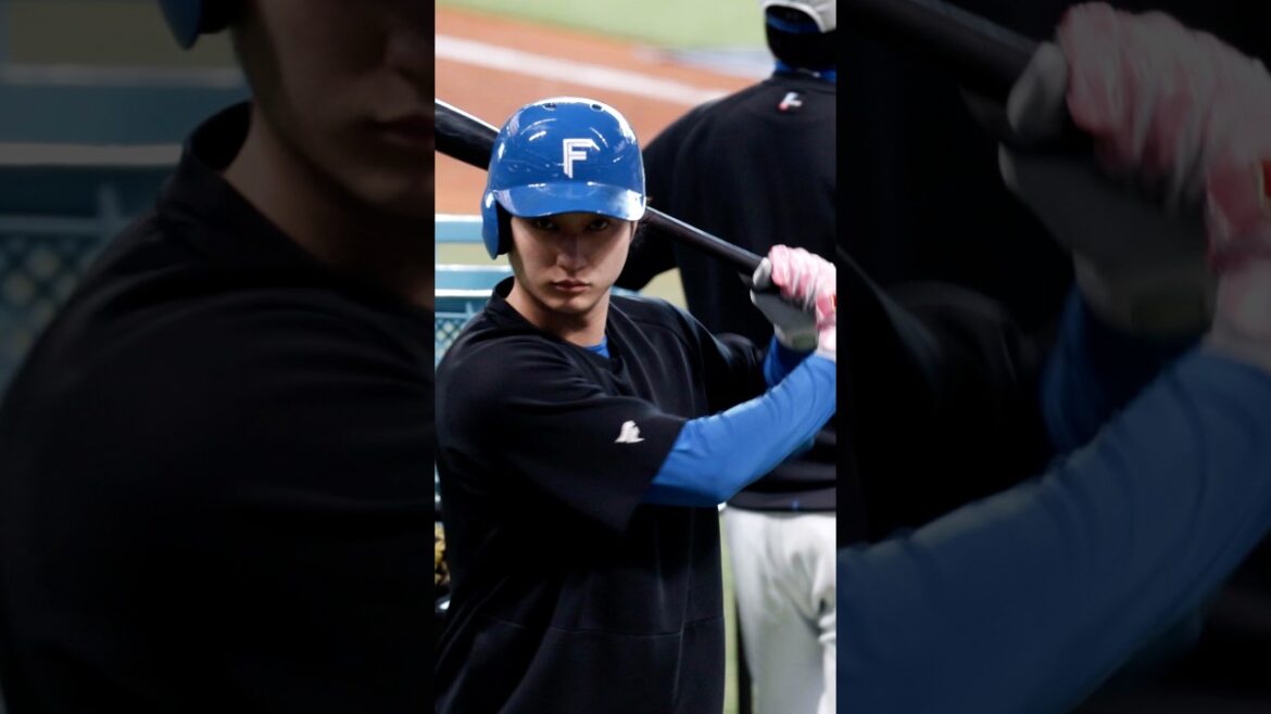 淺間大基選手の練習風景🔥#ドミれ#lovefighters