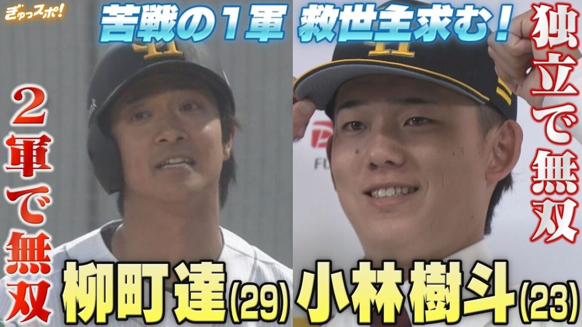 救世主求む！2軍で打率5割超の柳町達＆独立から育成で新加入の小林樹斗【ぎゅっスポ！ホークスこぼれ話】2026年5月21日放送