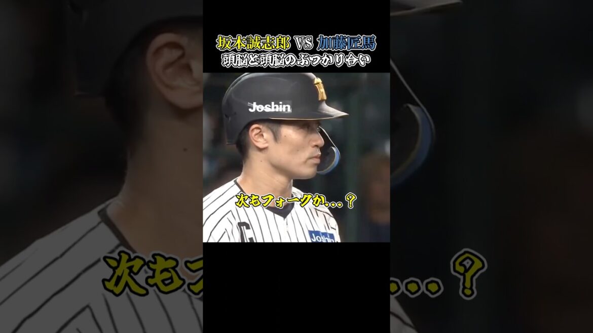 坂本誠志郎、加藤の配球を読んだバッティング。大逆転劇を生んだ神 #阪神タイガース #中日ドラゴンズ #坂本誠志郎 #shorts