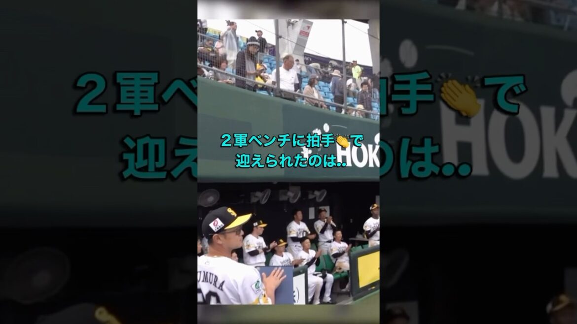 【拍手で迎えられたのは…】 #福岡ソフトバンクホークス #小林樹斗 #徳島インディゴソックス #広島東洋カープ #sbhawks #移籍 #タマスタ筑後 【拍手で迎えられたのは…】 #福岡ソフトバンクホークス #小林樹斗 #徳島インディゴソックス #広島東洋カープ #sbhawks #移籍 #タマスタ筑後