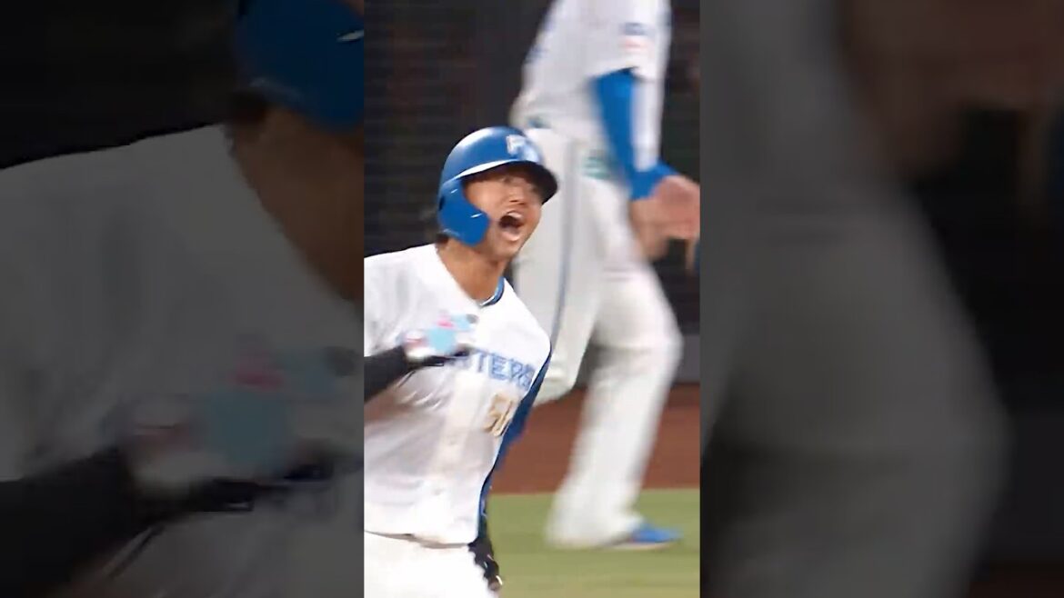『何度でも見たいガッツポーズ!!』細川凌平の値千金決勝弾!! #ドミれ #lovefighters