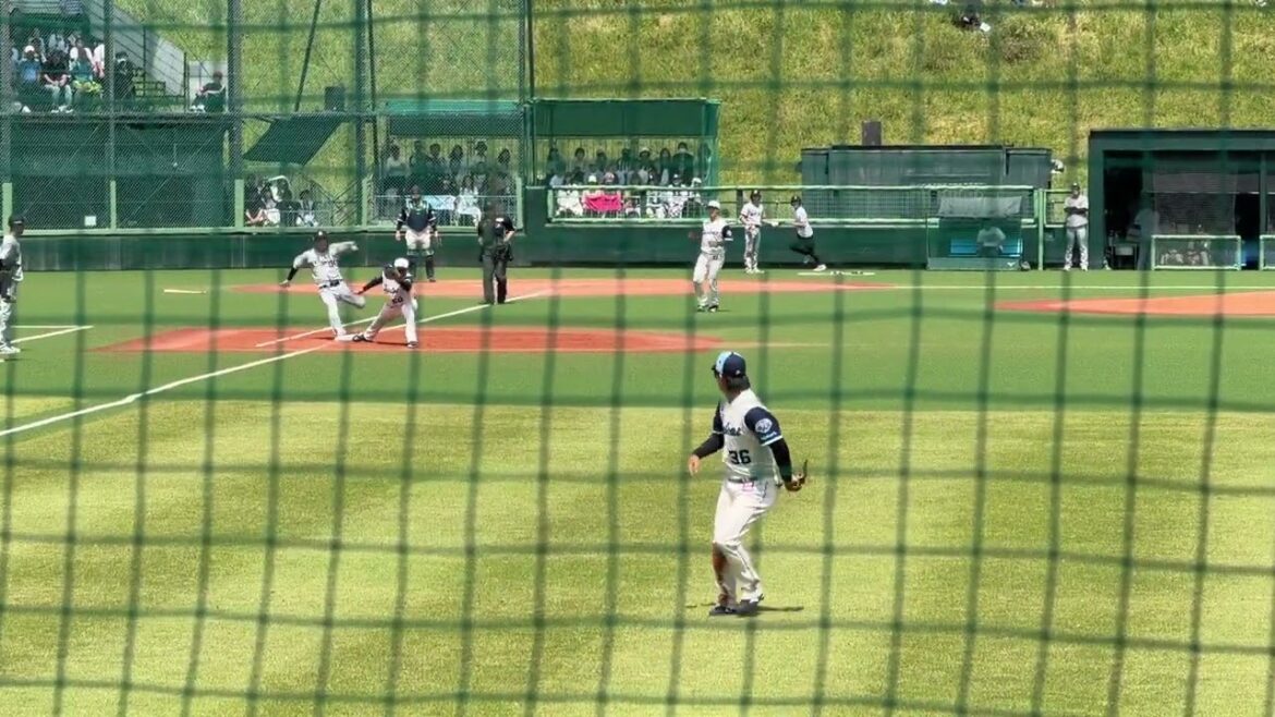 【ライトスタンドから見たライトゴロ】西村瑠伊斗選手の好守 ヤクルト戸田球場