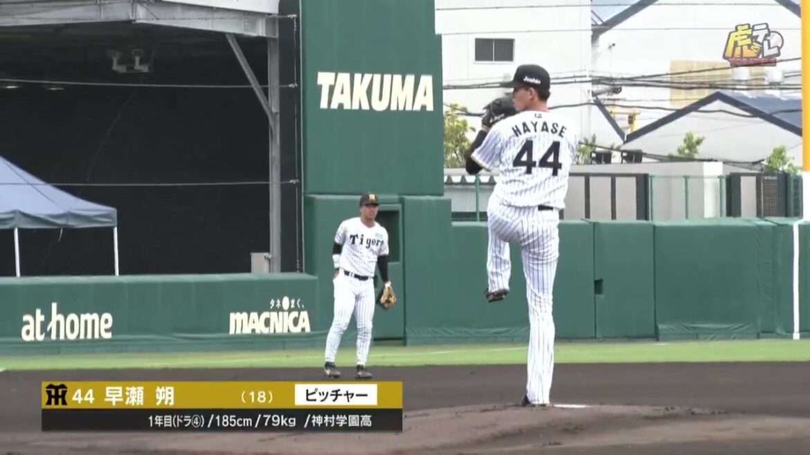 Hanshin-Tigers: 【ハイライト】5/23(土) 神1-3オ(SGL)|ドラフト4位ルーキーの早瀬朔がファーム初登板初先発を3回無失点デビュー!5番手の小川一平が三者連続見逃し三振! 【ハイライト】5/23(土) 神1-3オ(SGL)|ドラフト4位ルーキーの早瀬朔がファーム初登板初先発を3回無失点デビュー!5番手の小川一平が三者連続見逃し三振!