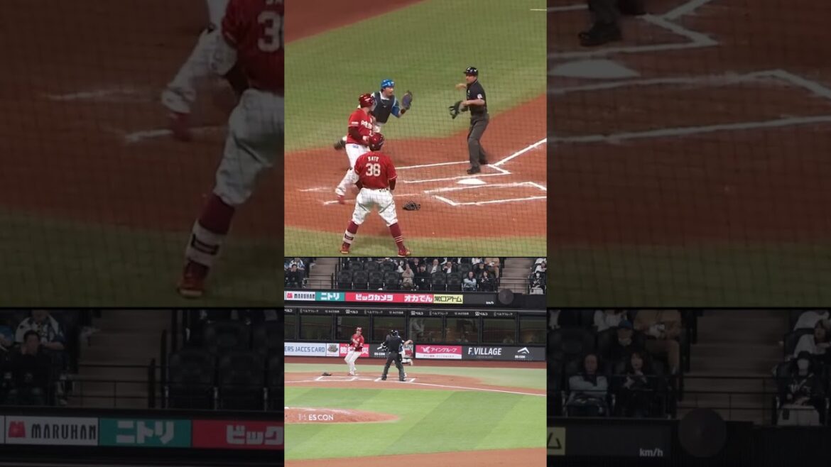 Hokkaido-Nippon-Ham-Fighters: 2夜連続!万波中正選手のレーザービーム⚾💫#ドミれ #lovefighters 2夜連続!万波中正選手のレーザービーム⚾💫#ドミれ #lovefighters