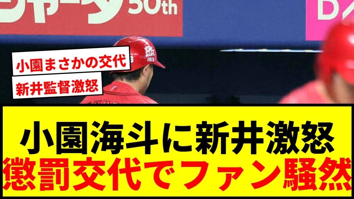 【広島】新井監督が小園海斗に激怒!「チームの士気が下がる」懲罰交代にファン賛否両論 【広島】新井監督が小園海斗に激怒!「チームの士気が下がる」懲罰交代にファン賛否両論