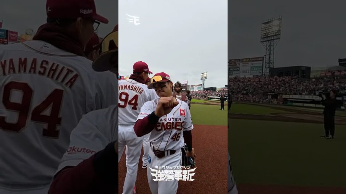 Tohoku-Rakuten-Golden-Eagles: 【わしほーカメラ】5/24(日)勝利のハイタッチ✋✨ 【わしほーカメラ】5/24(日)勝利のハイタッチ✋✨