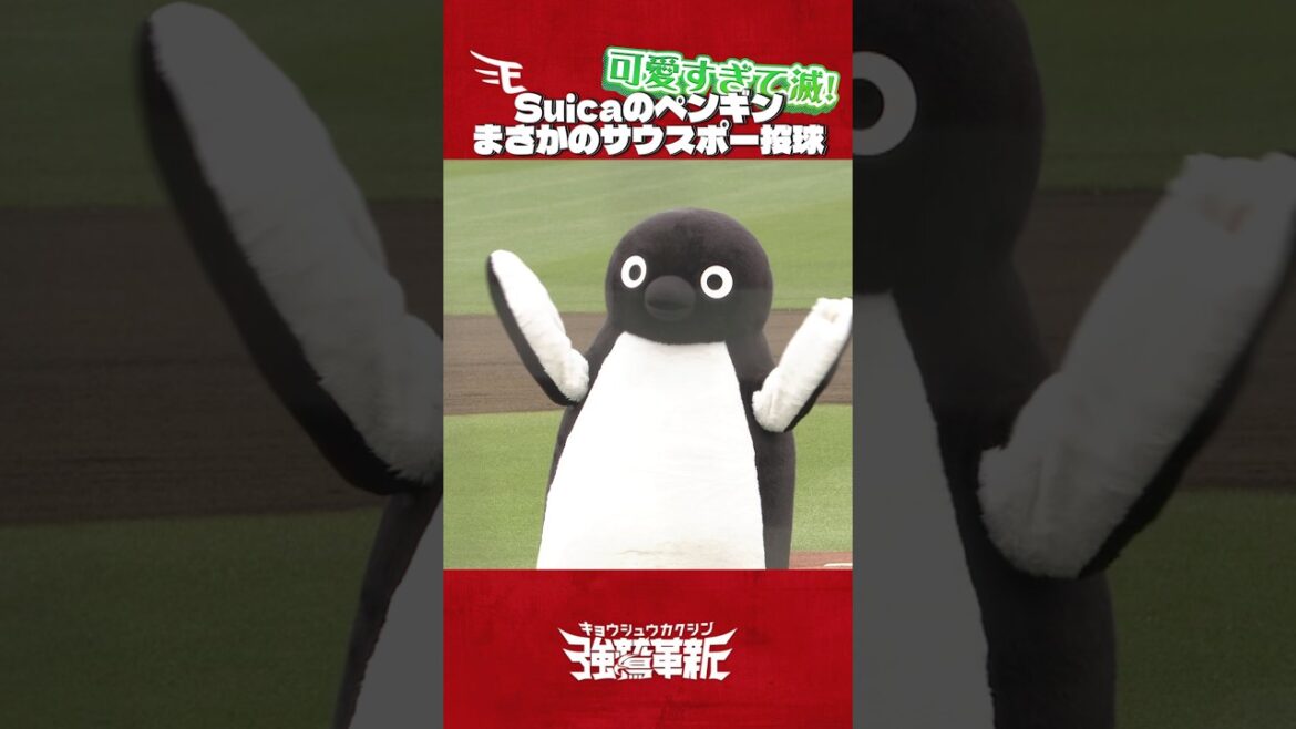 【まさかのサウスポー】Suicaのペンギンの投球が可愛すぎて滅！🚃